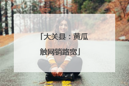 大关县：黄瓜触网销路宽