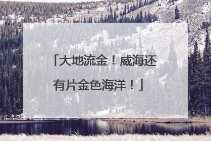 大地流金！威海还有片金色海洋！