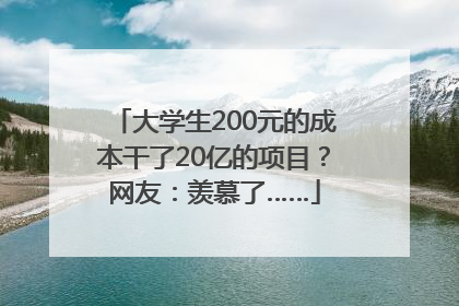大学生200元的成本干了20亿的项目？网友：羡慕了……