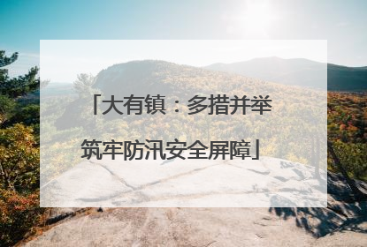 大有镇：多措并举筑牢防汛安全屏障