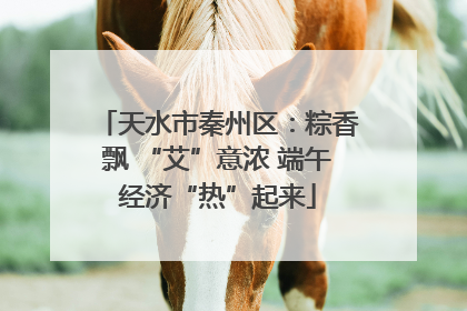 天水市秦州区：粽香飘 “艾”意浓 端午经济“热”起来