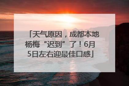 天气原因，成都本地杨梅“迟到”了！6月5日左右迎最佳口感