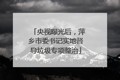 央视曝光后，萍乡市委书记实地督导垃圾专项整治