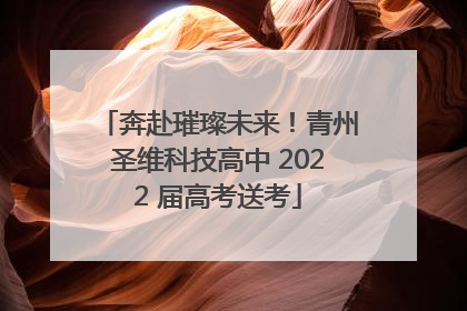奔赴璀璨未来！青州圣维科技高中 2022 届高考送考