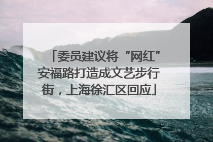 委员建议将“网红”安福路打造成文艺步行街，上海徐汇区回应