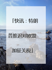 快讯：特朗普推迟对欧盟加征关税