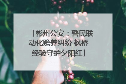 彬州公安：警民联动化赡养纠纷 枫桥经验守护夕阳红