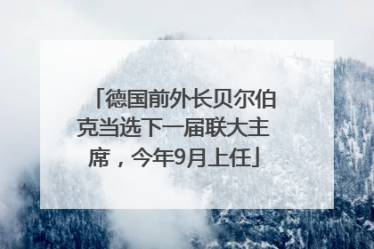 德国前外长贝尔伯克当选下一届联大主席，今年9月上任