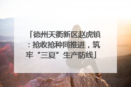 德州天衢新区赵虎镇：抢收抢种同推进，筑牢“三夏”生产防线
