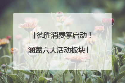 德胜消费季启动！涵盖六大活动板块