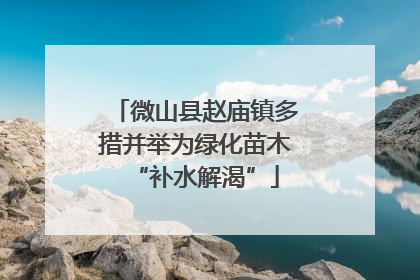 微山县赵庙镇多措并举为绿化苗木“补水解渴”