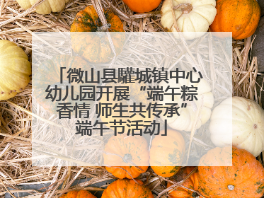 微山县驩城镇中心幼儿园开展“端午粽香情 师生共传承”端午节活动