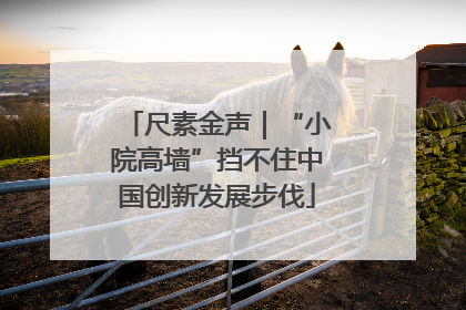 尺素金声｜“小院高墙”挡不住中国创新发展步伐