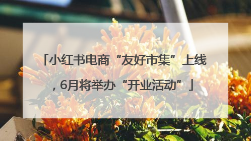 小红书电商“友好市集”上线，6月将举办“开业活动”