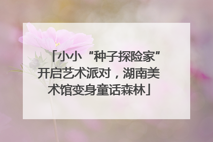 小小“种子探险家”开启艺术派对，湖南美术馆变身童话森林