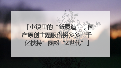 小镇里的“新质造”，国产原创主题服借拼多多“千亿扶持”圈粉“Z世代”