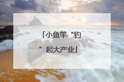 小鱼竿“钓”起大产业
