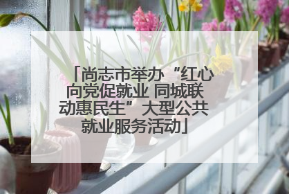 尚志市举办“红心向党促就业 同城联动惠民生”大型公共就业服务活动