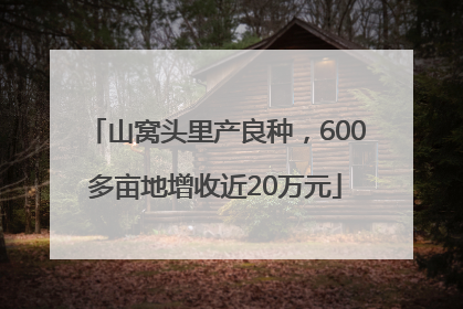 山窝头里产良种，600多亩地增收近20万元