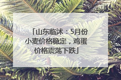 山东临沭：5月份小麦价格稳定，鸡蛋价格震荡下跌