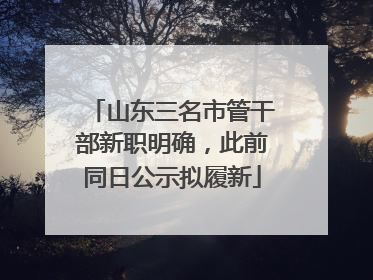 山东三名市管干部新职明确，此前同日公示拟履新