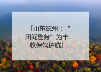 山东德州：“田间警务”为丰收保驾护航