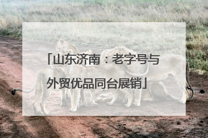 山东济南：老字号与外贸优品同台展销