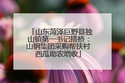 山东菏泽巨野县独山镇第一书记搭桥：山钢集团采购帮扶村西瓜助农增收