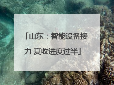 山东：智能设备接力 夏收进度过半