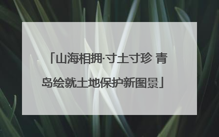 山海相拥·寸土寸珍 青岛绘就土地保护新图景