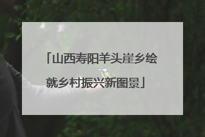 山西寿阳羊头崖乡绘就乡村振兴新图景