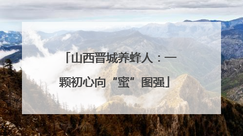 山西晋城养蜂人：一颗初心向“蜜”图强