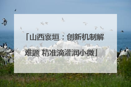 山西襄垣：创新机制解难题 精准滴灌润小微