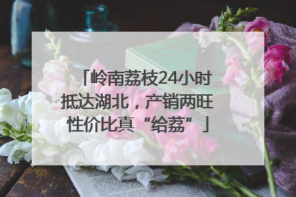 岭南荔枝24小时抵达湖北，产销两旺性价比真“给荔”