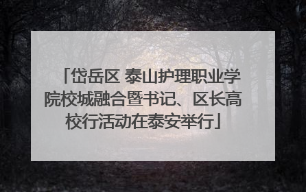 岱岳区 泰山护理职业学院校城融合暨书记、区长高校行活动在泰安举行