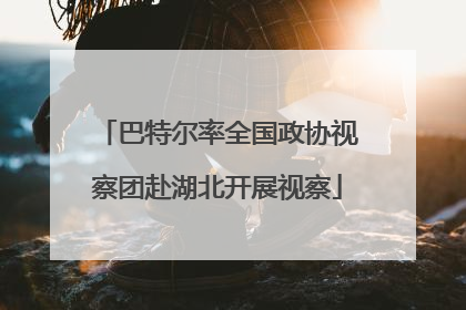 巴特尔率全国政协视察团赴湖北开展视察