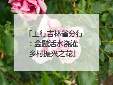 工行吉林省分行：金融活水浇灌 乡村振兴之花