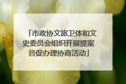 市政协文旅卫体和文史委员会组织开展提案督促办理协商活动