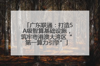 广东联通：打造5A级智算基础设施，筑牢粤港澳大湾区“第一算力引擎”