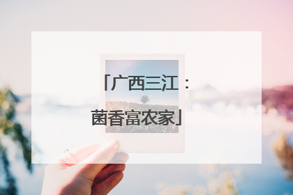广西三江：菌香富农家
