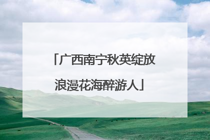 广西南宁秋英绽放 浪漫花海醉游人