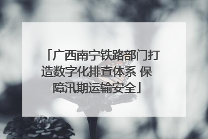 广西南宁铁路部门打造数字化排查体系 保障汛期运输安全