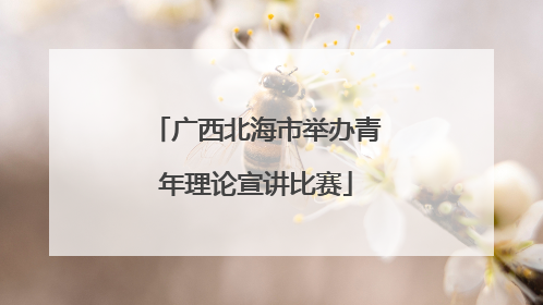 广西北海市举办青年理论宣讲比赛