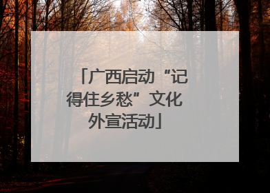 广西启动“记得住乡愁”文化外宣活动