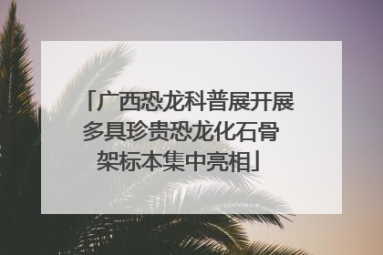 广西恐龙科普展开展 多具珍贵恐龙化石骨架标本集中亮相