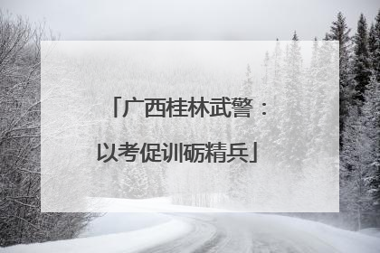 广西桂林武警：以考促训砺精兵
