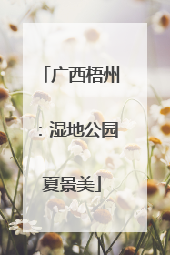 广西梧州：湿地公园夏景美
