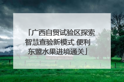 广西自贸试验区探索智慧查验新模式 便利东盟水果进境通关