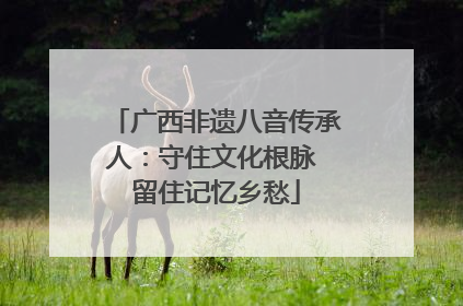 广西非遗八音传承人：守住文化根脉 留住记忆乡愁