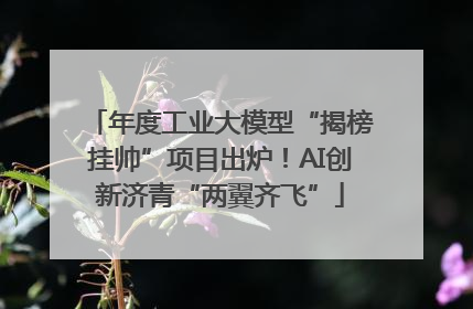 年度工业大模型“揭榜挂帅”项目出炉！AI创新济青“两翼齐飞”